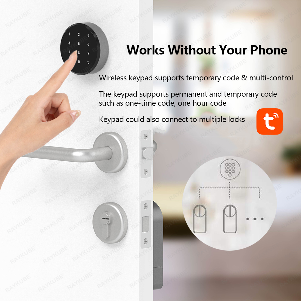 RAYKUBE A1 Pro Tuya BEL مجموعة - مراجعة Smart Door Lock Wifi وسعره